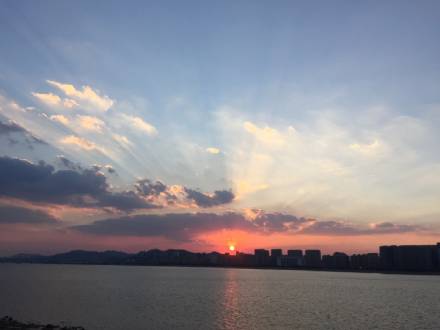 公司环境